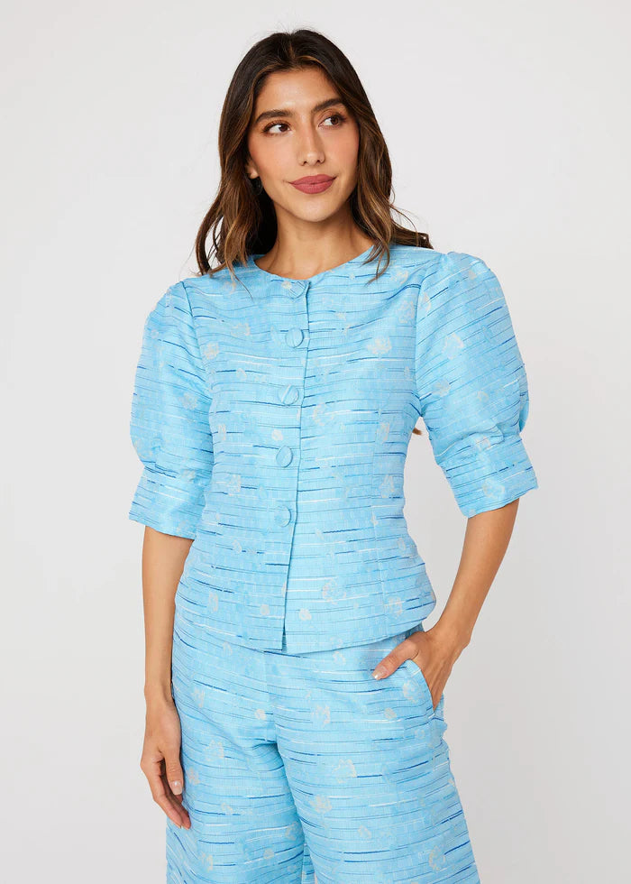 CLEO TOP