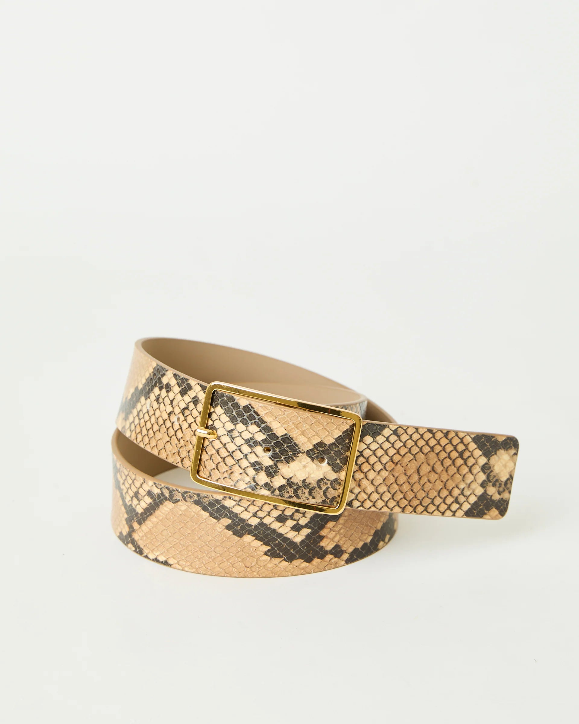 MILLA PYTHON