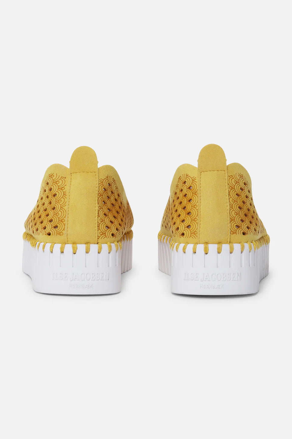 GOLDEN ROD TULIP FLATS