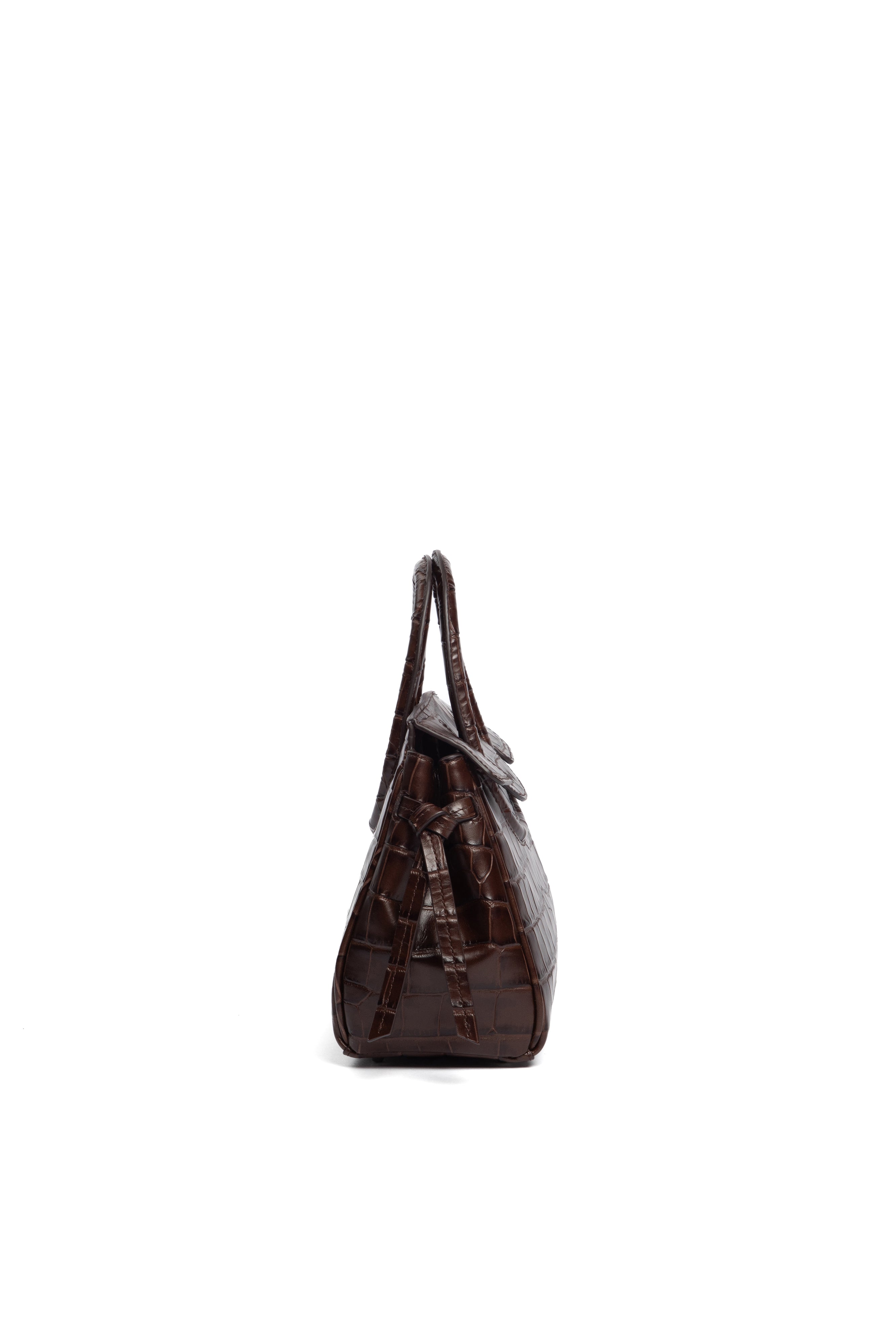 MAUDE MINI CARRYALL