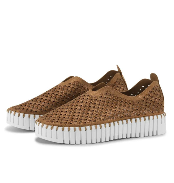 NOUGAT TULIP FLATS
