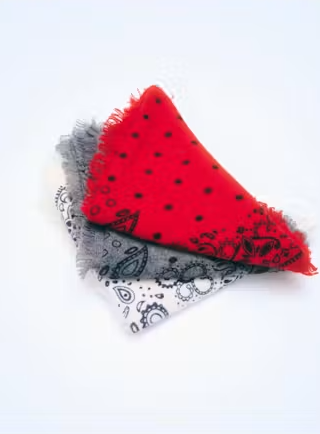 CASHMERE PRINTED BANDANA